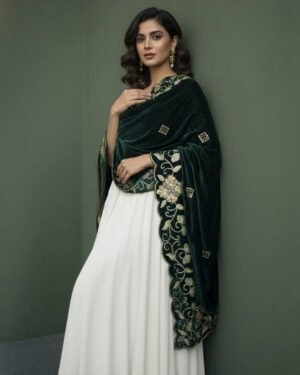 Soft Velvet Green Embroidered Shawl – T000768KH
