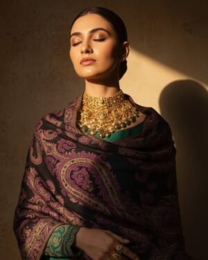 Fine Pashmina Weaved Shawl
