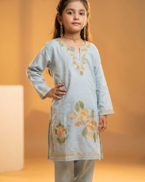 Kids Kashmiri Aari Coordset