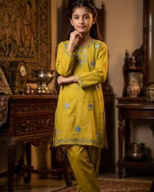 Kids Kashmiri Aari Coordset – T001814KH