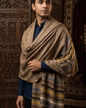 Saif Style V2 Premium Reversible Shawl
