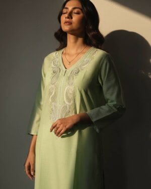 Kashmiri Aari Cotton Kurti – T002504KH