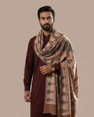Ikkat Men’s Shawl – T003242KH