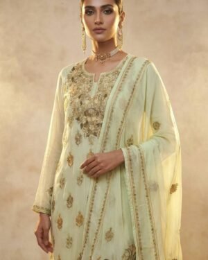 Hand Assisted Aari Two-piece