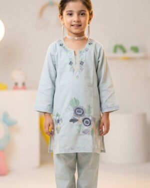 Kids Kashmiri Aari Coordset